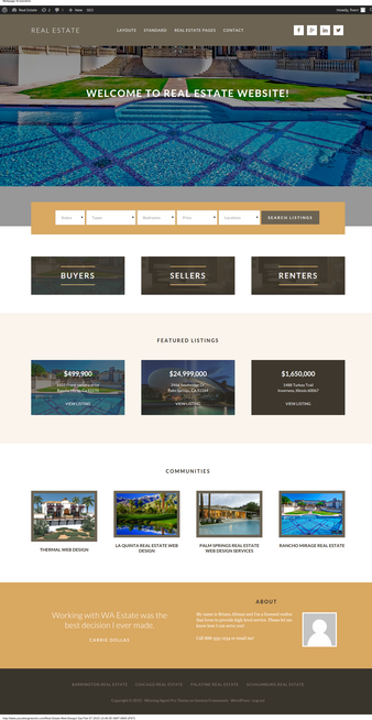 Southern California Real Estate Web Design Example 