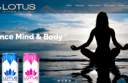 Lotus Botanical Elixirs