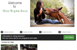 San Diego Web Design – Equine